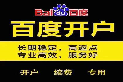 某电商平台的SEM推广实战经验